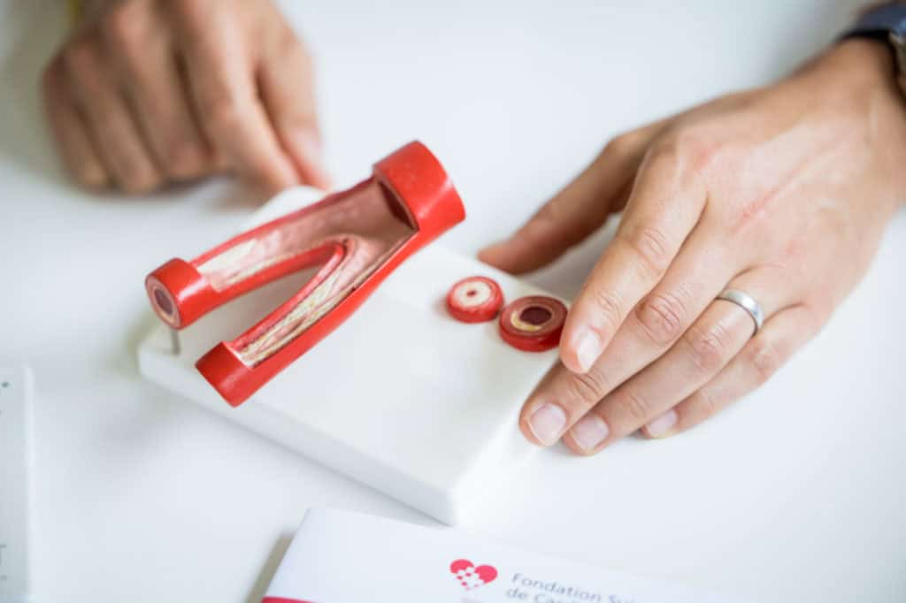 Cardiovascular Assessment and Prevention